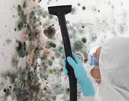 Best Commercial Mold Inspection in Millen, GA